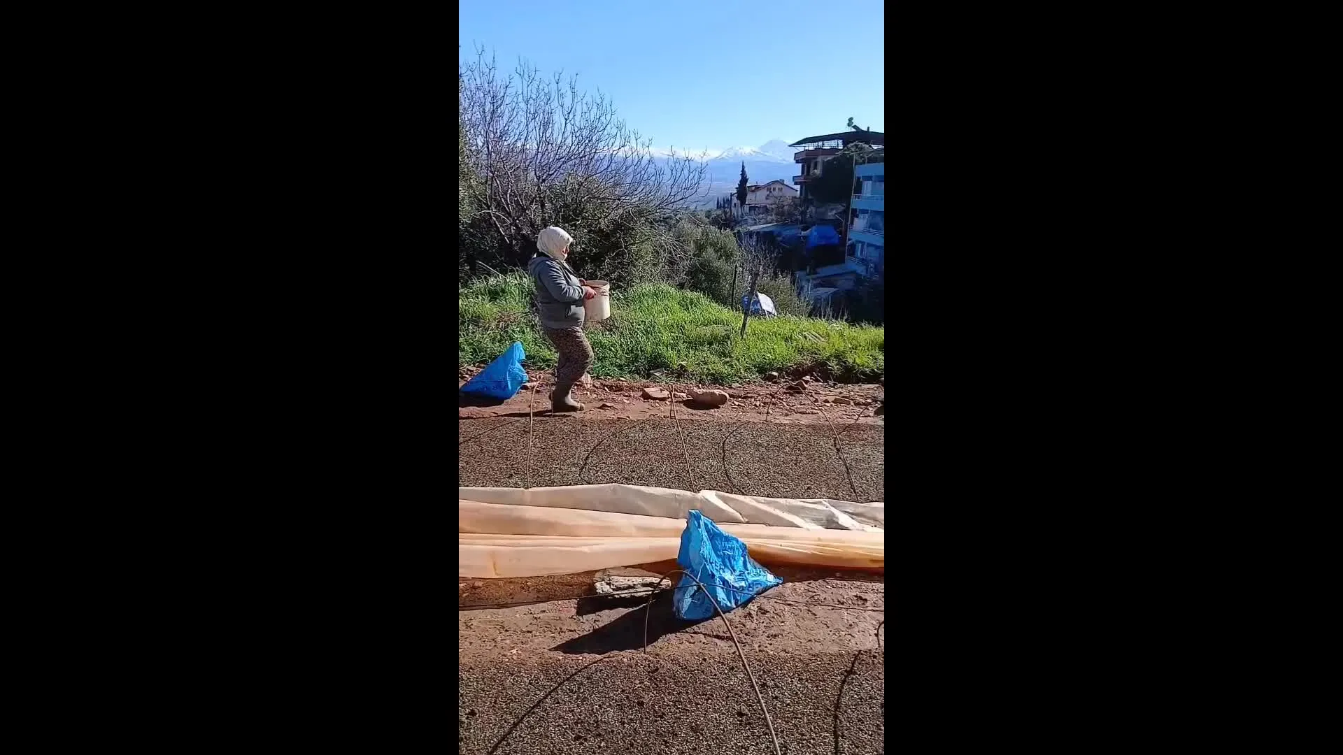 Aydın’da tütün üreticileri tepkili: “Geçen yılın mahsulü hala alınmadı, fiyatlar belirsiz”
